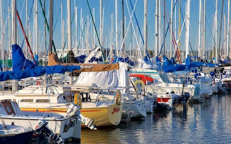 Does Paine Field Have Rental Cars: Your Travel Guide