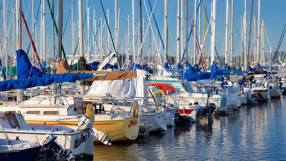 Everett featuring a bay or harbor and a marina