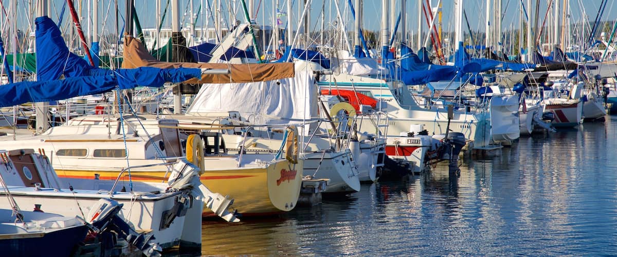 A marina with numerous sailboats docked closely together.