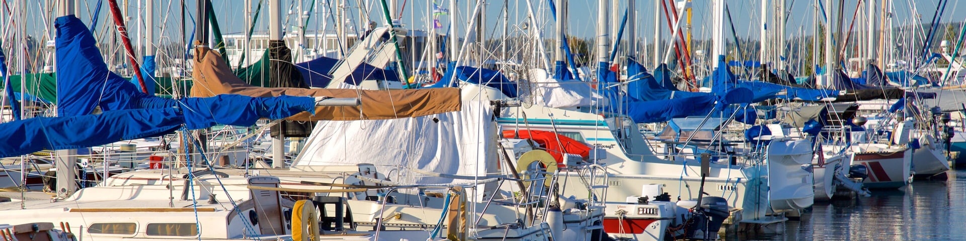 A marina with numerous sailboats docked closely together.