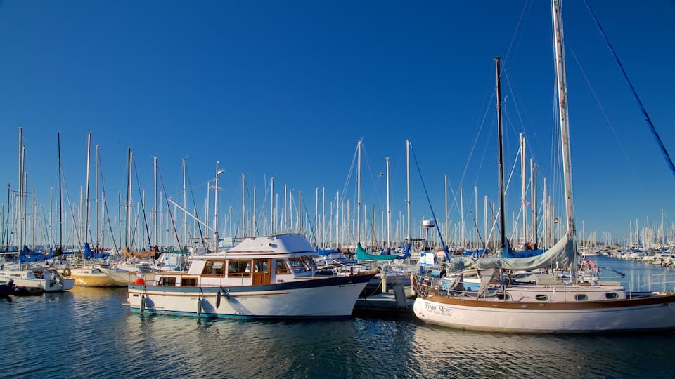 A marina with numerous sailboats docked under a clear blue sky.