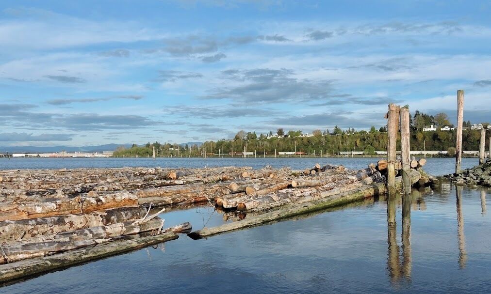 American settlement on the Everett peninsula began in the 1860s, with several sawmills built to serve the area's growing timber industry. Everett's economy transitioned away from lumber and towards aviation after World War II, with the construction of Boeing's aircraft assembly plant at Paine Field in 1967. Boeing remains the city's largest employer, alongside the U.S. Navy, which has operated Naval Station Everett since 1992.

#Everett #sawmills
#GreatOutdoors 