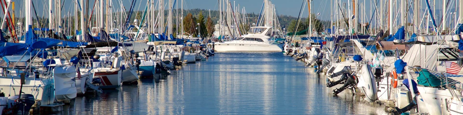 Everett featuring a marina and a bay or harbor