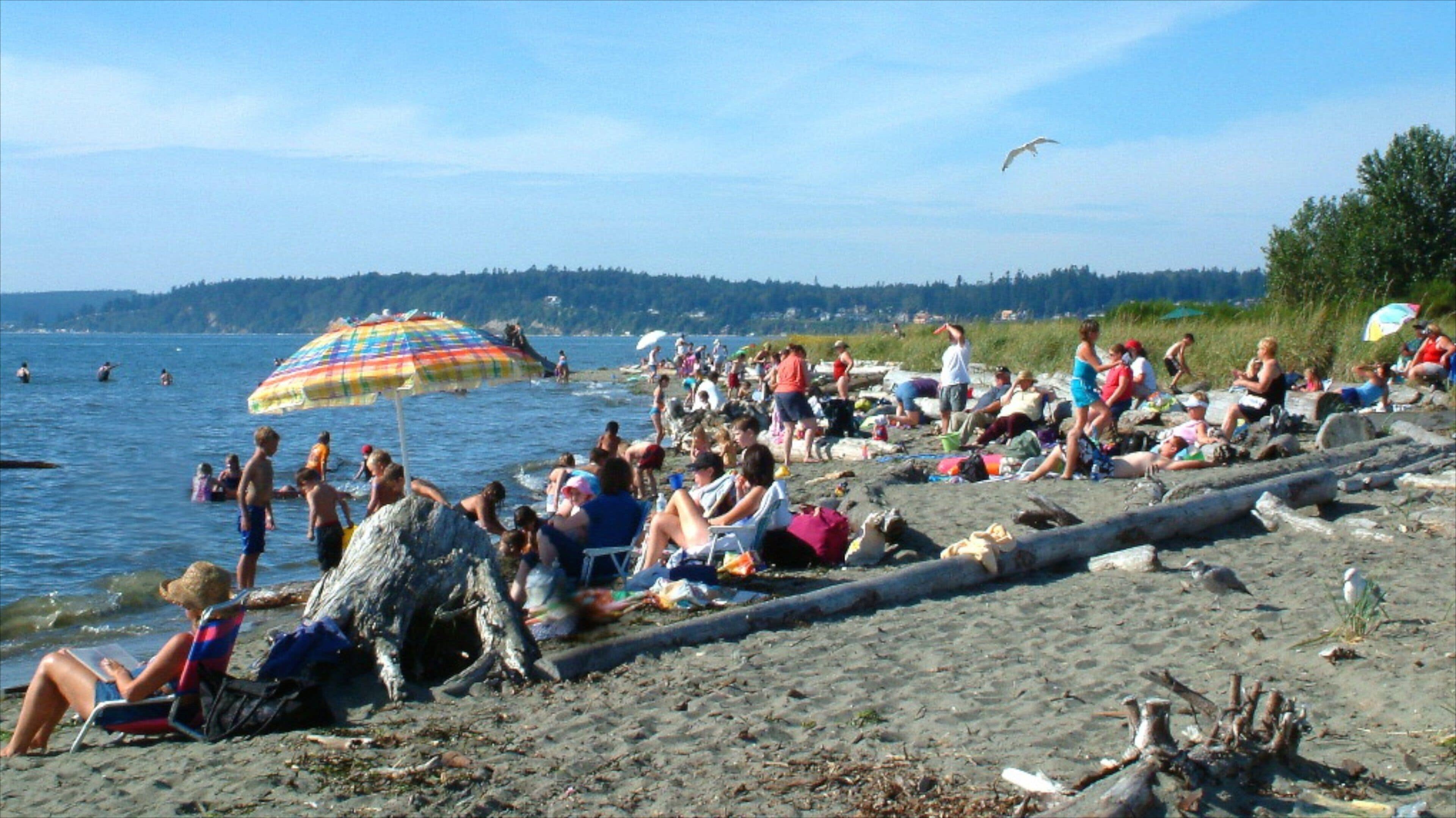 <h2>Top-rated places to stay near the beach in Everett</h2>