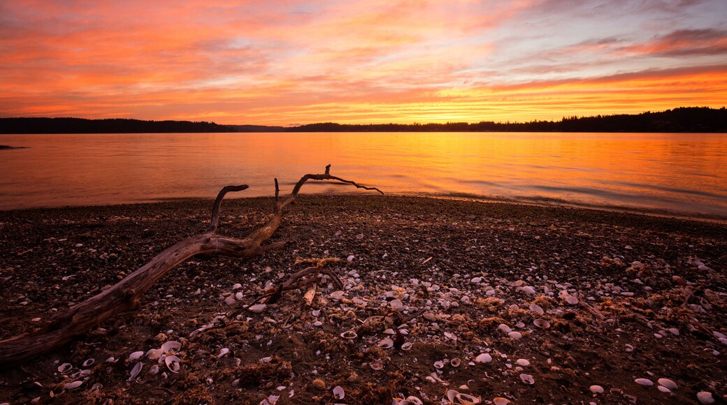 A sunset over a calm lake with a fallen tree in the foreground.