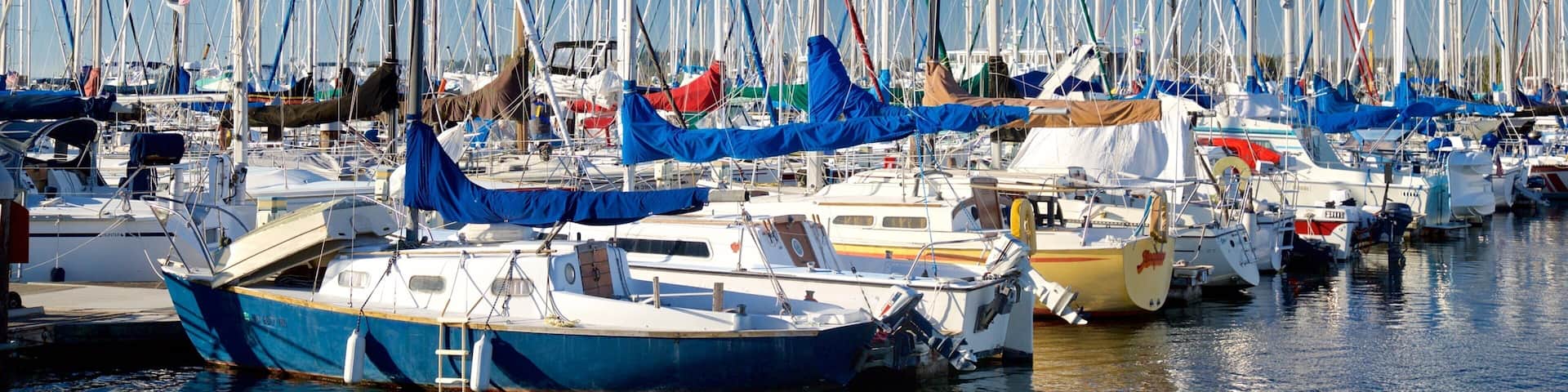 A marina with numerous sailboats docked in calm waters.