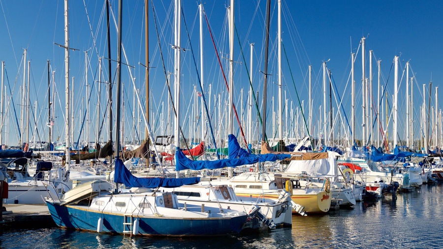 A marina with numerous sailboats docked in calm waters.
