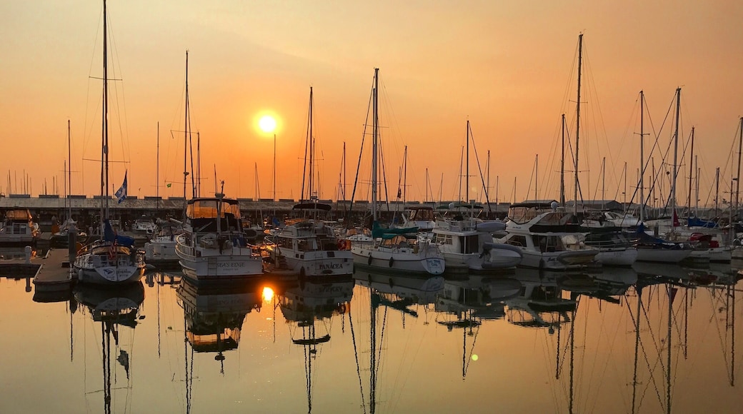 The Everett Marina tonight. (The BC fires are truly heartbreaking, but make for some amazing photo opportunities in Washington State.) The marina has live music, a farmer's market, and art fair during the summer months. Fun! #sunset