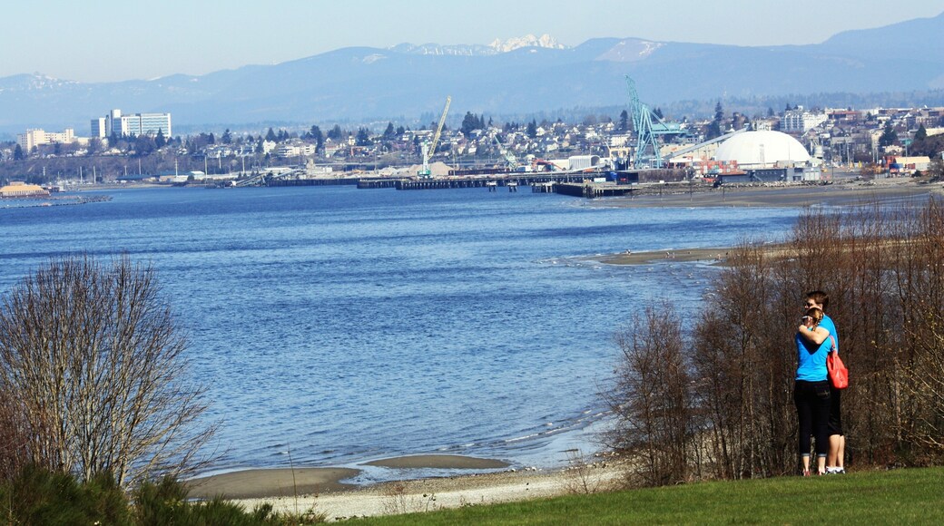 Everett mostrando una bahía o un puerto
