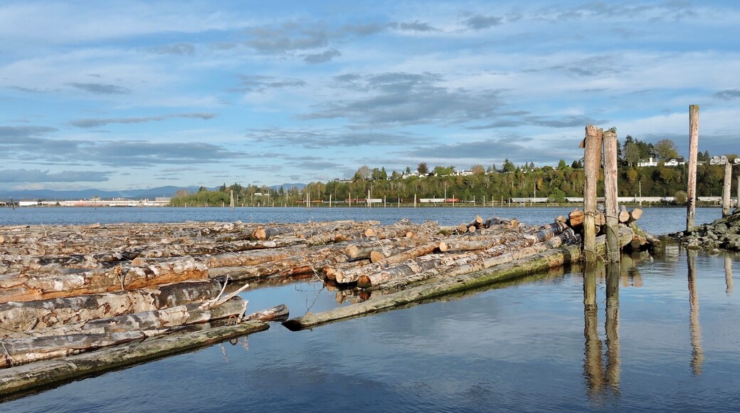 Floating logs in Everett, Washington.
#Everett
#Washington
#GreatOutdoors