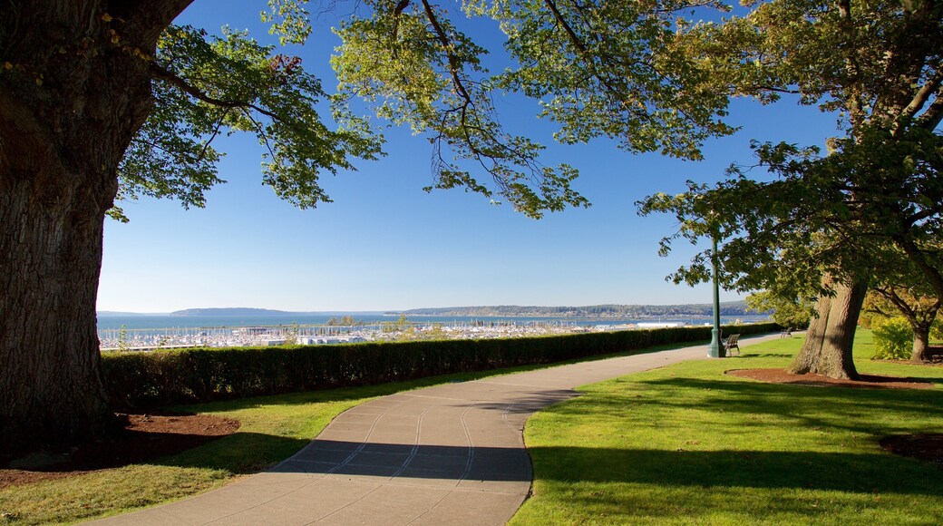 Everett ofreciendo un jardín