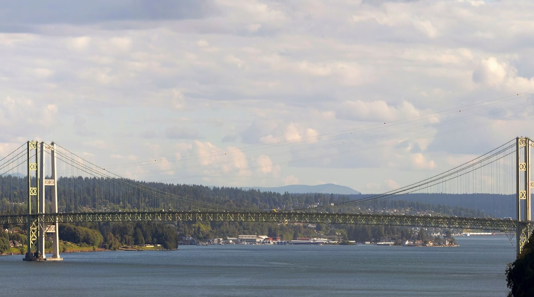 Tacoma Narrows Bridge Panorama