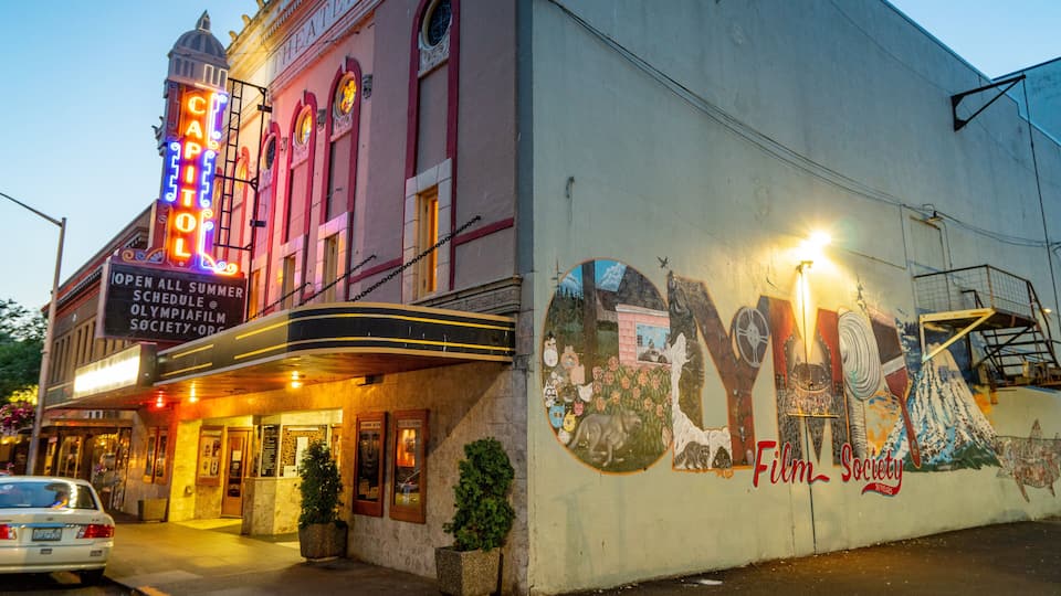 Olympia showing outdoor art and night scenes