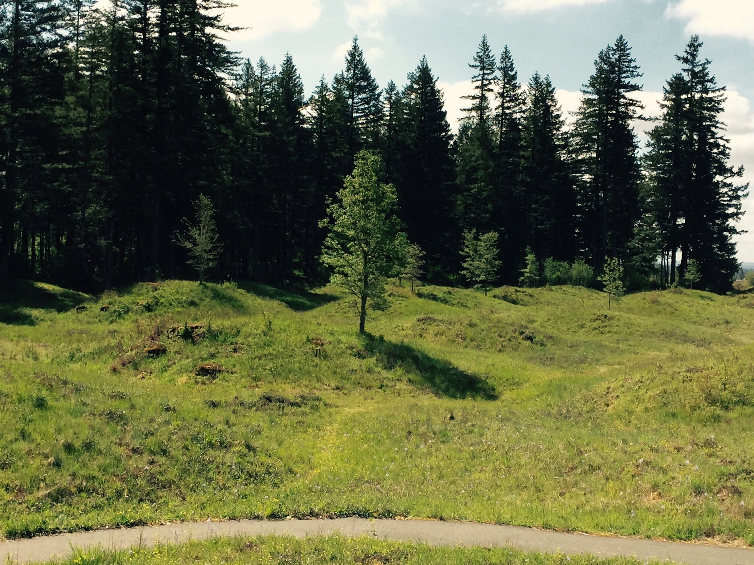 Mima Mound "The Great Pyramid of The Gophers."  
Many theories exist as to what created the Mima Mounds. 