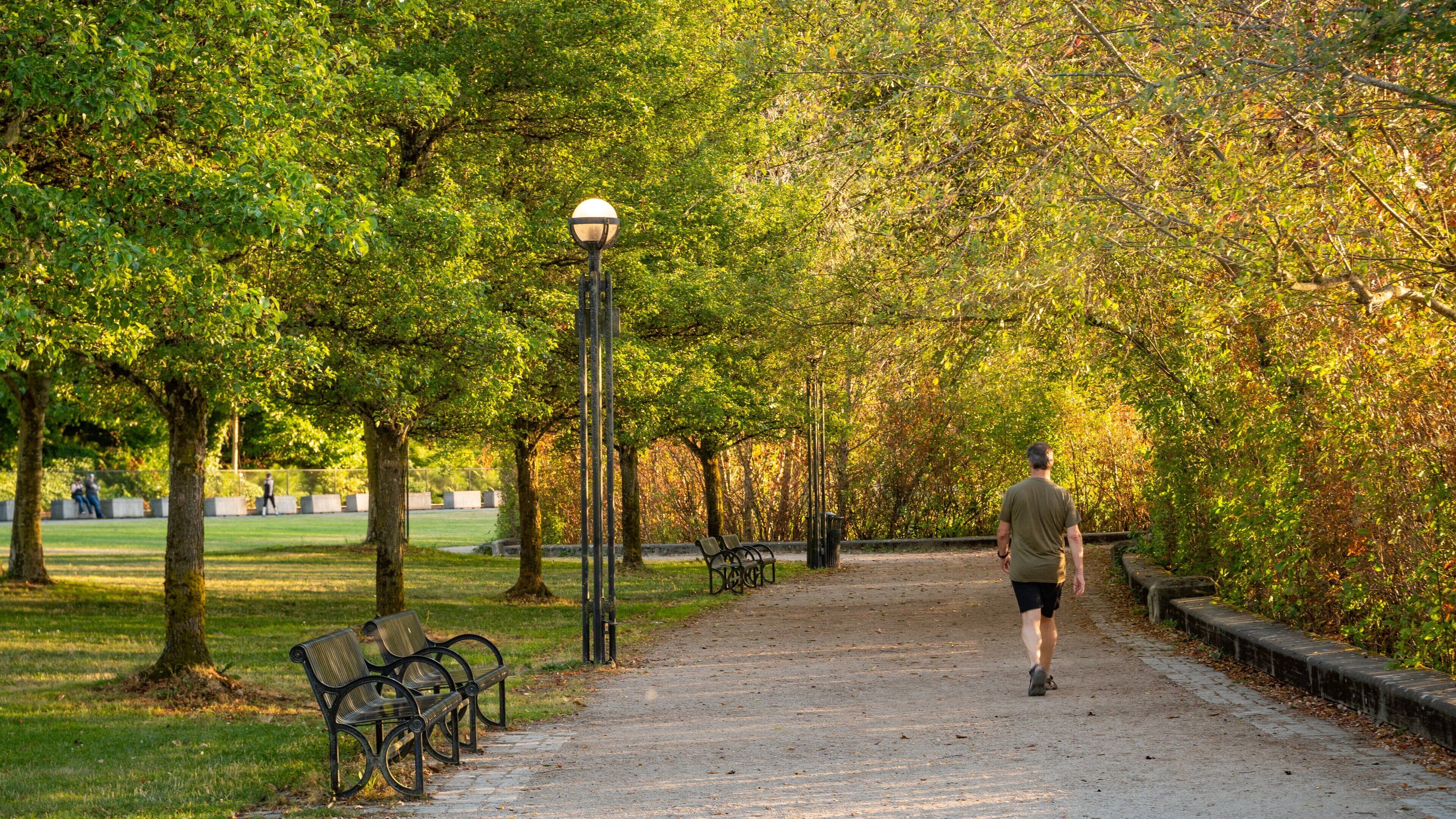 Olympia showing a park as well as an individual male