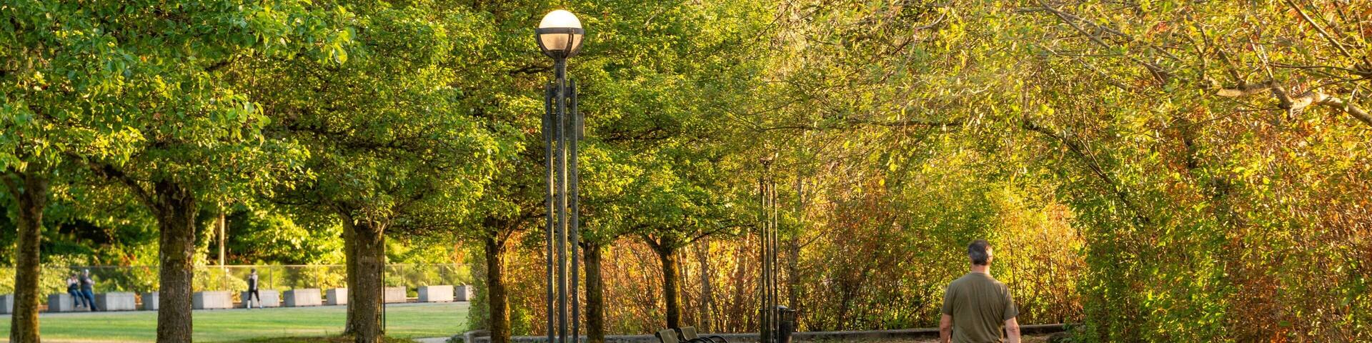 Olympia showing a park as well as an individual male