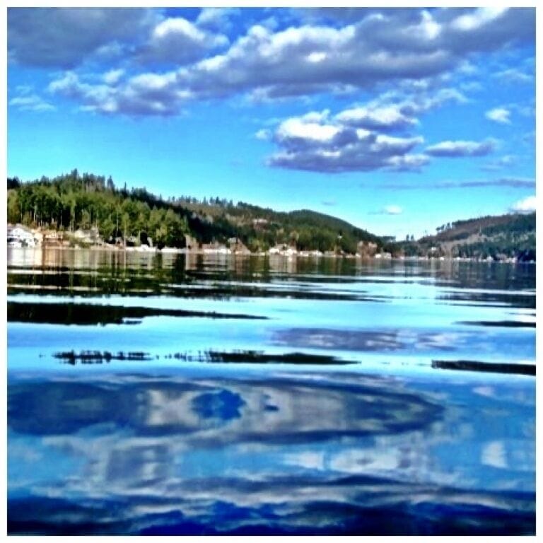 Summit Lake is a little Thurston County gem with great fishing opportunities. The lake is so clean that the residents drink the water. If you fish before 11:00, there's a speed limit so the ski boats won't get in the way.

#waterlust #WeekendGetaway