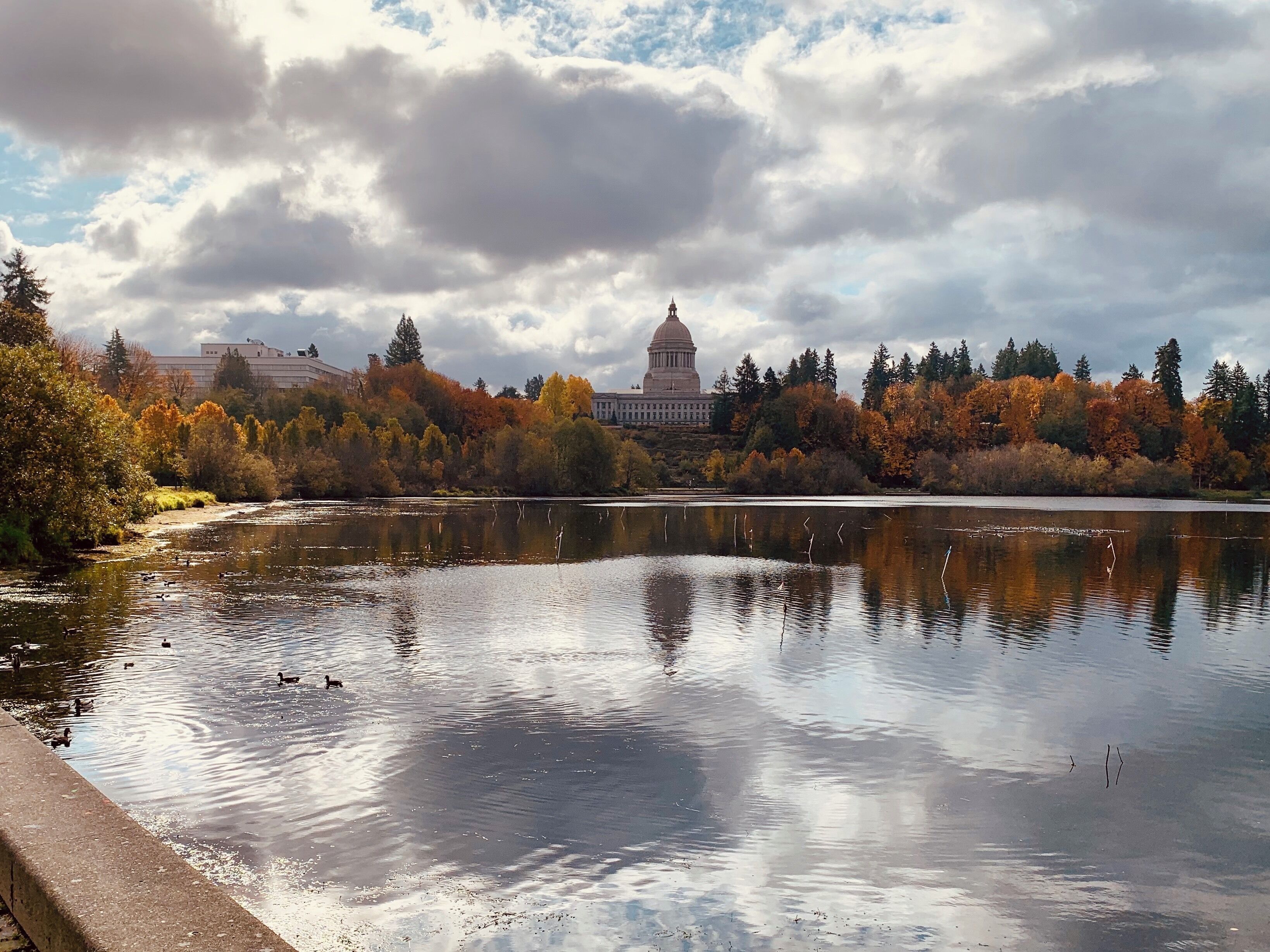 A lake with ducks, autumn trees, and a building with a dome in the background.