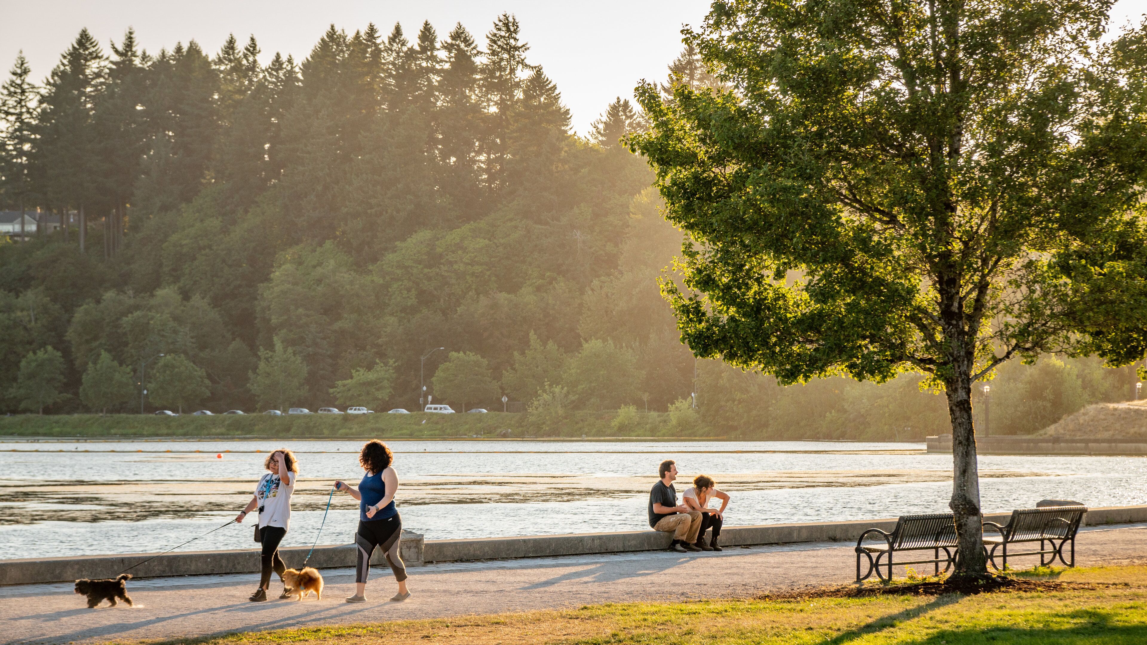 Olympia which includes a park, cuddly or friendly animals and a river or creek