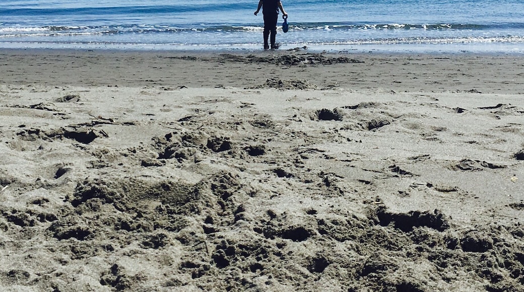 Great place to spend the day in the sand