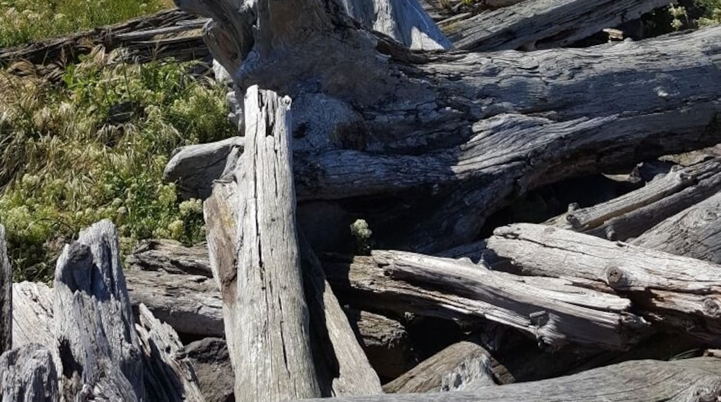 Located at Fort Worden where "An Officer and a Gentleman" was filmed.