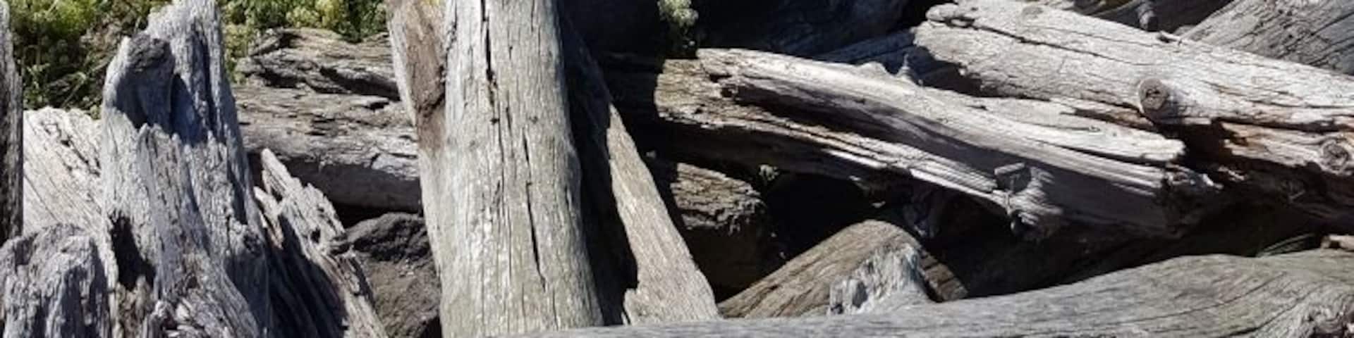 Located at Fort Worden where "An Officer and a Gentleman" was filmed.
