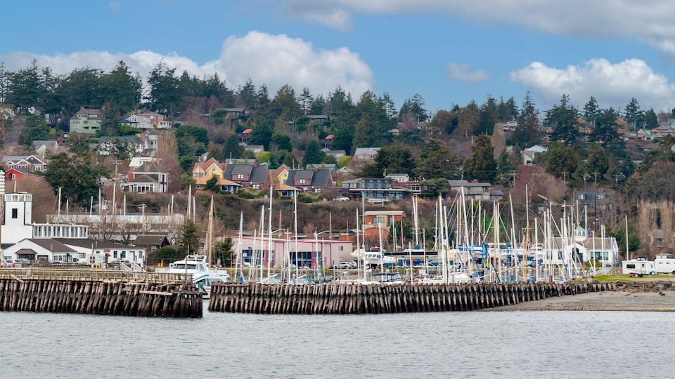 A coastal town with a pier, boats, and houses on a hillside.