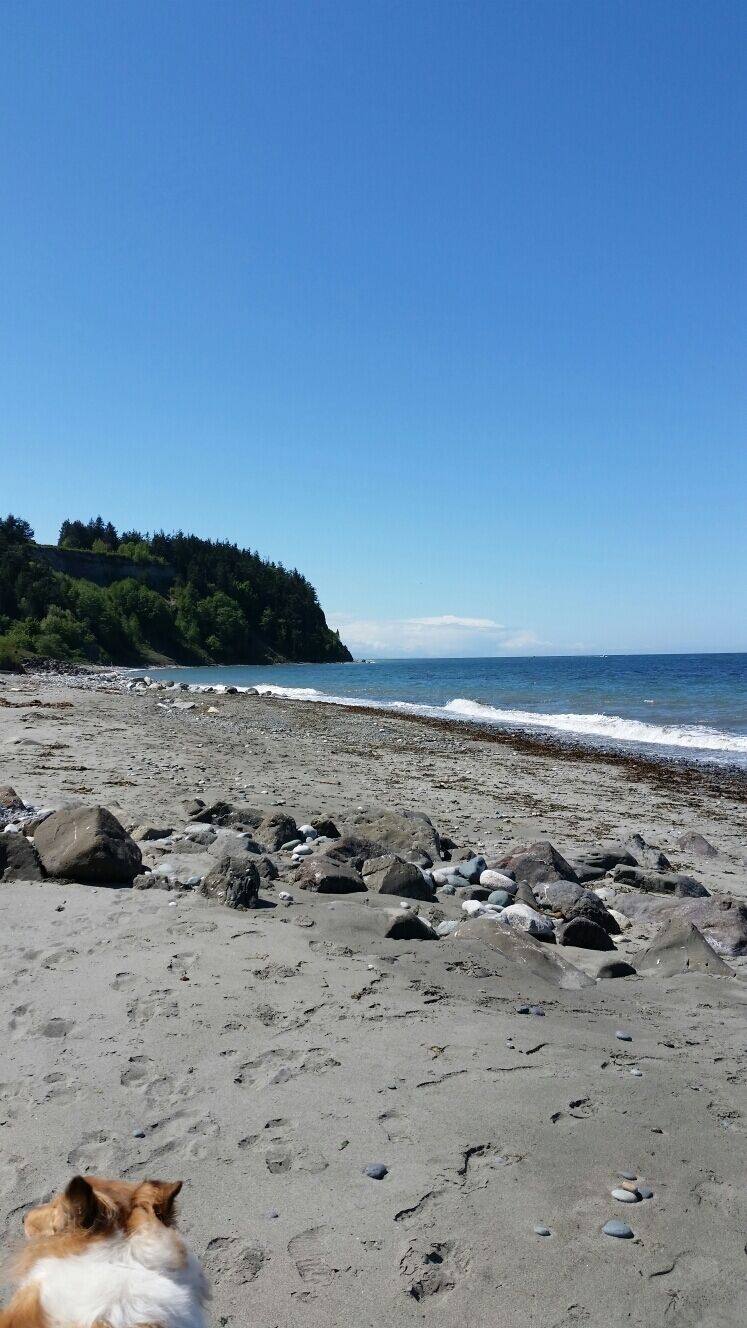 Beautiful dog-friendly beach and hiking in cute Port Townsend. Makes my collie happy. #LifeAtExpedia