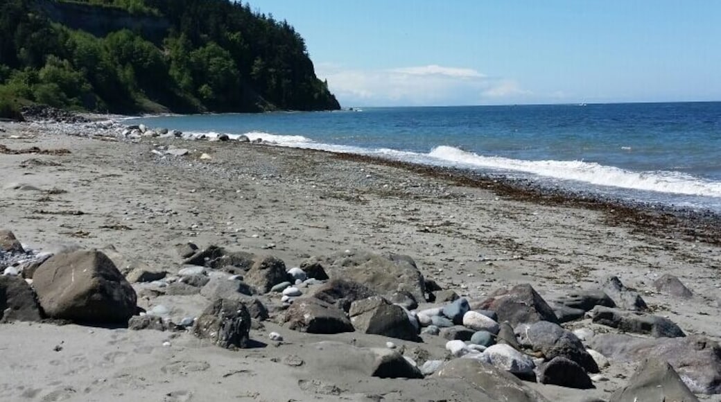 Beautiful dog-friendly beach and hiking in cute Port Townsend. Makes my collie happy. #LifeAtExpedia