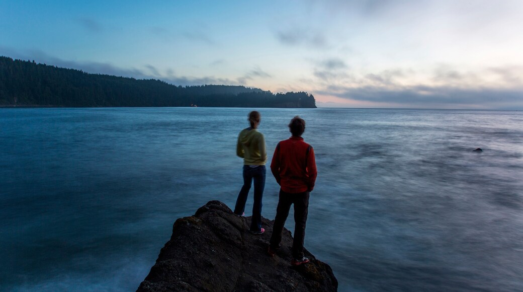Two young people stand on the edge of a rock formation at dusk near the Strait of Juan de Fuca in Washington.