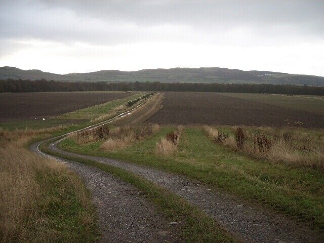 Track in Carse of Gowrie. Looking south towards Paddockmuir Wood, backed by the hills above Newburgh on the opposite bank of the Tay.