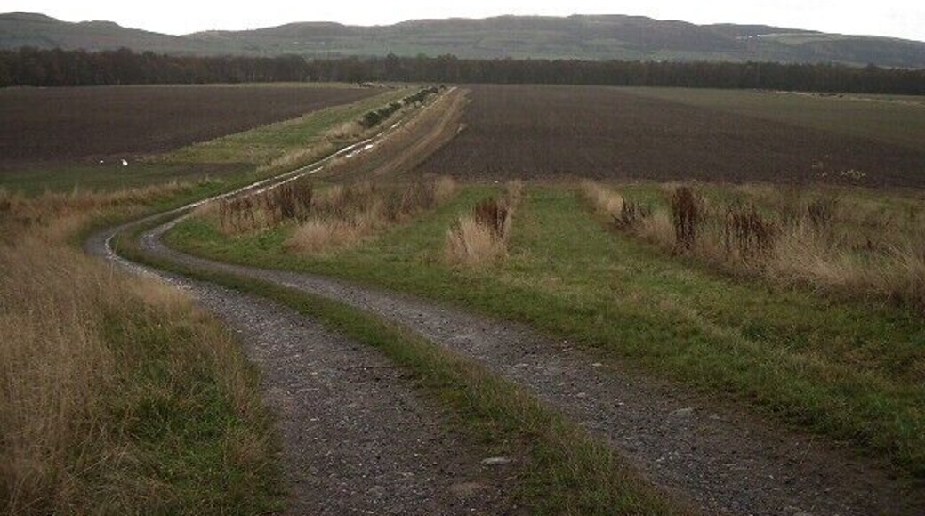 Track in Carse of Gowrie. Looking south towards Paddockmuir Wood, backed by the hills above Newburgh on the opposite bank of the Tay.