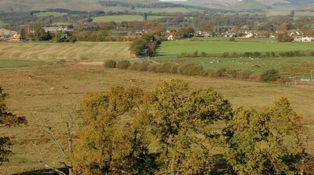 Powmill A view towards Powmill taken from the next square to the south.