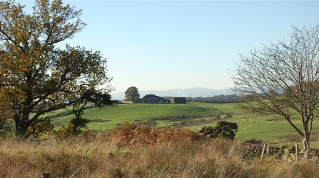 Farmland This square is mostly rough grazing for cattle and sheep.Barnhill Farm can be seen in the distance, it is the only building in the square.