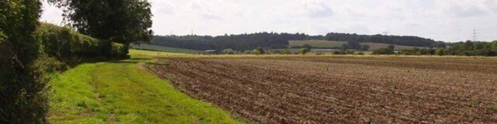 Bridleway at Chilswell