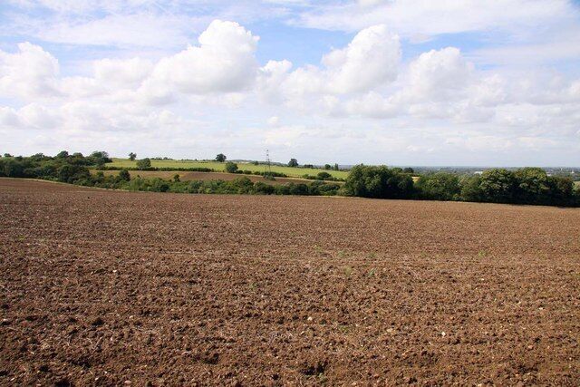 Looking across a field towards the golf course