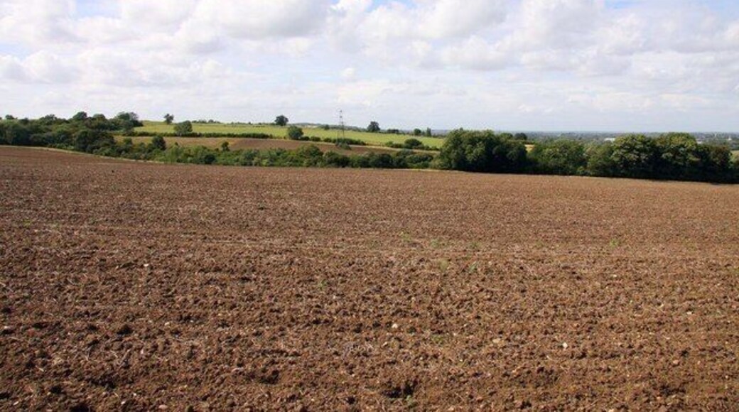 Looking across a field towards the golf course