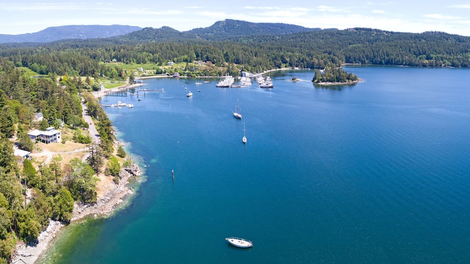 A coastal area with a marina, boats, and a forested shoreline.