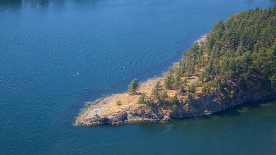 A coastal landscape with a rocky shoreline, dense forest, and calm water.