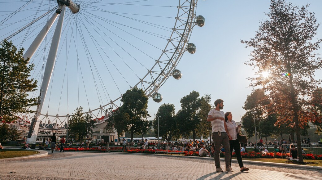 South Bank showing a sunset and a park as well as a couple