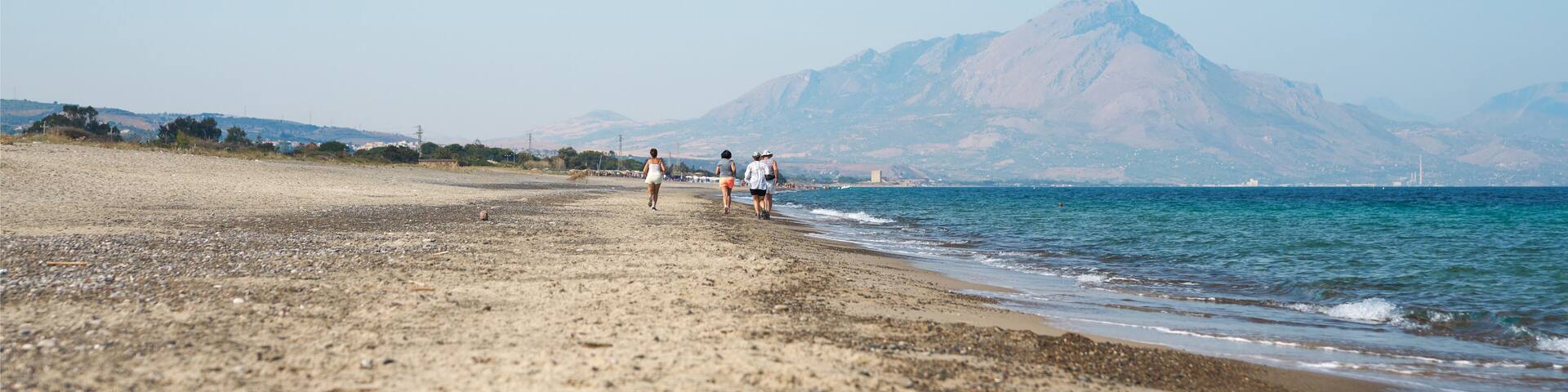 A beach with a mountain in the background.