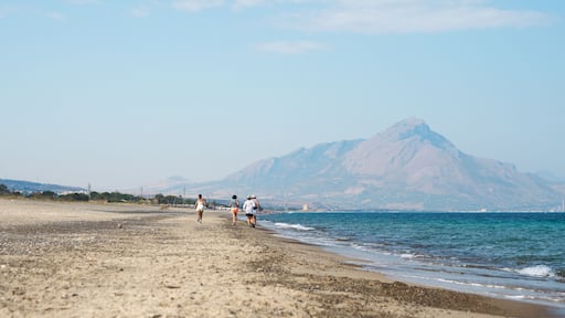 Une plage avec une montagne en arriĂšre-plan.