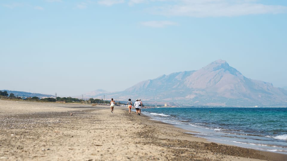 A beach with a mountain in the background.