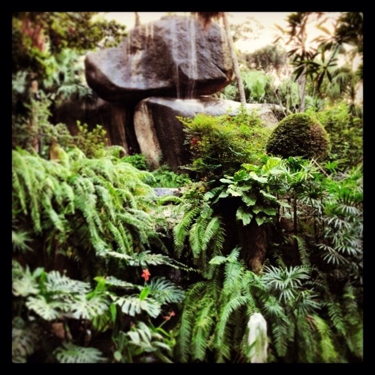 Luis Camoes Garden, Macau. The photo is of the water fountain coming from Observatory Rock. So names after the French with permission from the Portuguese administrators set up a platform to observe the night sky and gain their bearings before sailing out again.
