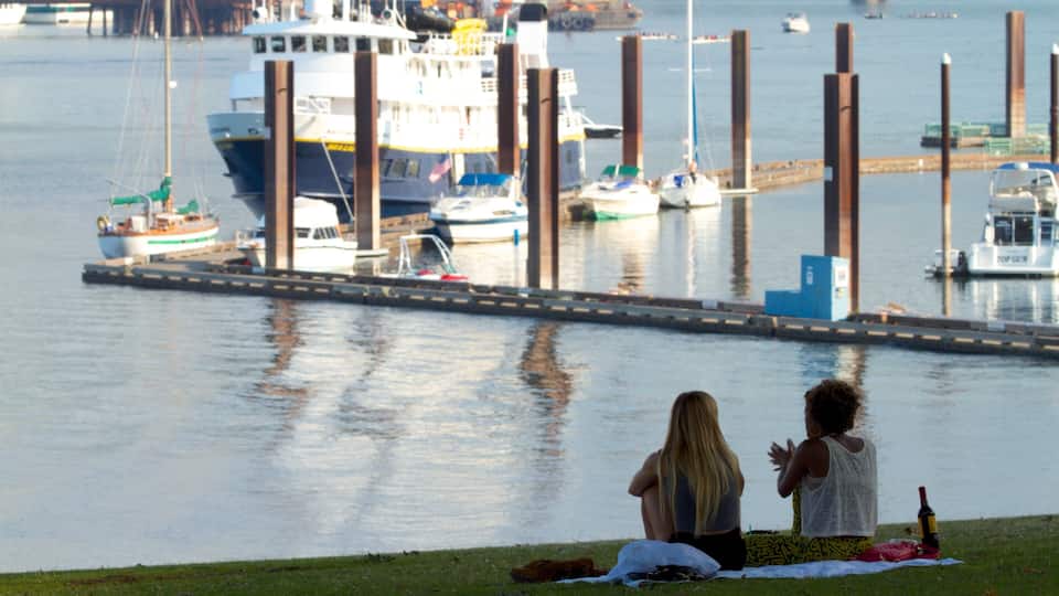 Relaxing afternoon by the waterfront in downtown Portland with views of boats and the city skyline