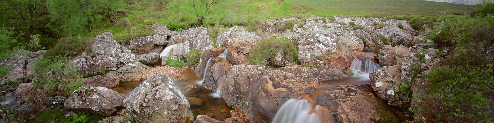 ๊ธ๋ ์ฝ ์ ํน์ง ๊ฐ ๋๋ ์๋ด ๊ณผ ํ์ ํ ํ๊ฒฝ