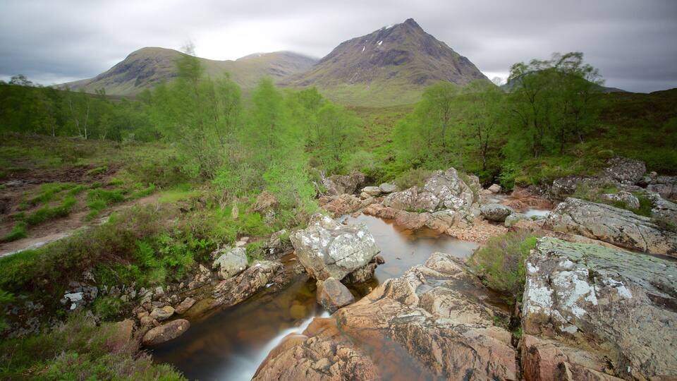 A rocky stream with a mountain in the background.