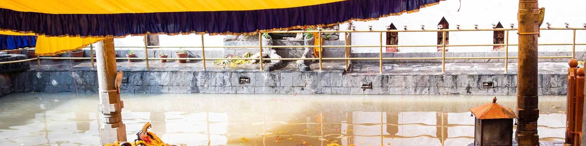A decorated elephant surrounded by water, with a temple in the background.