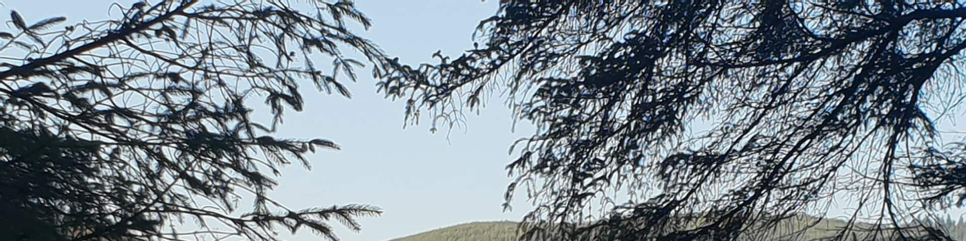 Beautiful autumn colours at loch ard