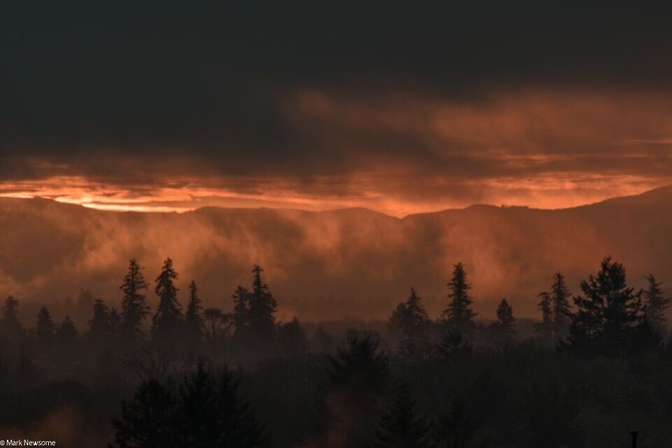 Sunrise over the foggy Willamette valley